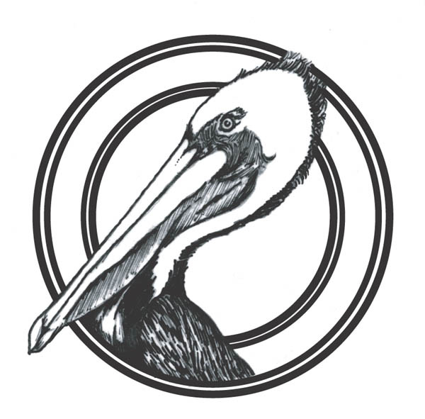 'pelican' by C. S. Bauman