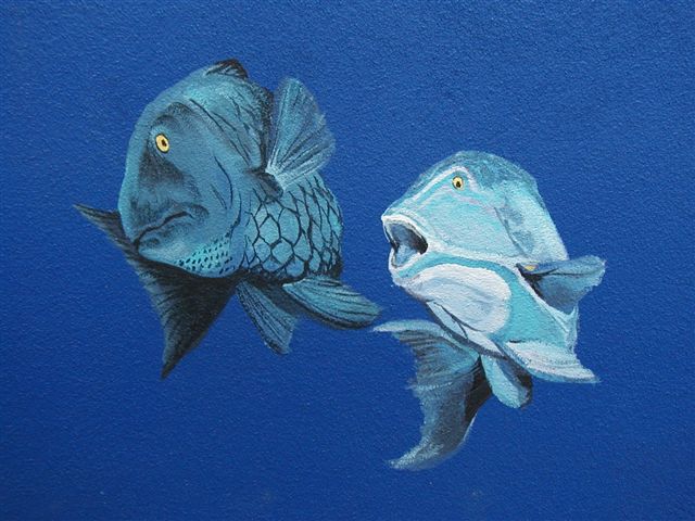 'Fish detail' by C. S. Bauman