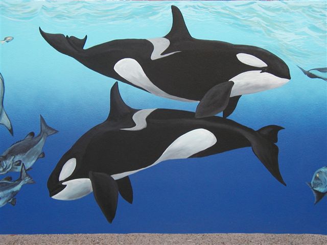 'Orcas' by C. S. Bauman