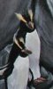 Click to view 'Penguins detail' by C. S. Bauman