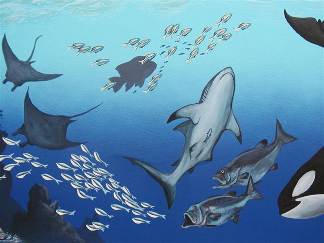 'Rays and shark' by C. S. Bauman