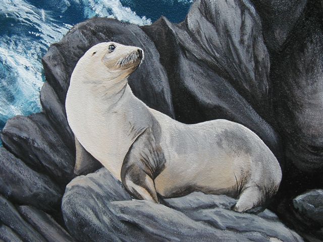 'Seal detail' by C. S. Bauman