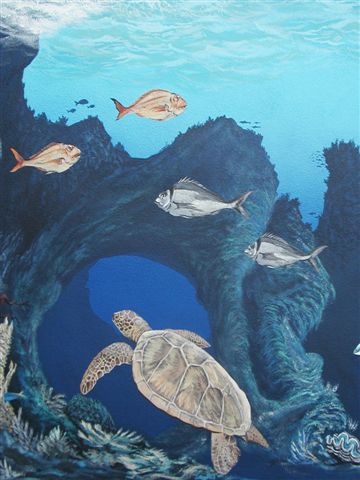 'Sea turtle' by C. S. Bauman