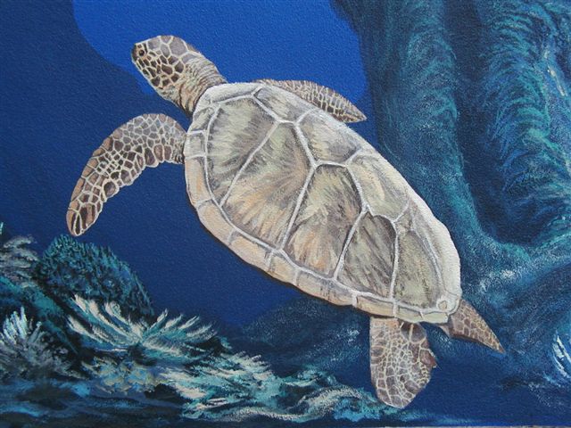 'Sea turtle detail' by C. S. Bauman