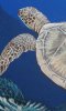 Click to view 'Sea turtle detail' by C. S. Bauman