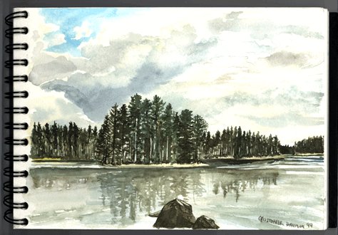 'Finland Summer Cottage' by C. S. Bauman