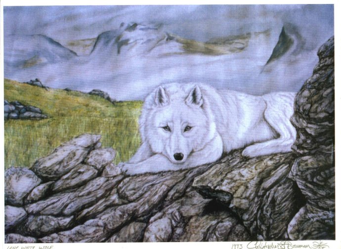 'Wolf Painting' by C. S. Bauman