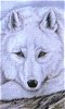 Click to view 'Wolf Painting' by C. S. Bauman